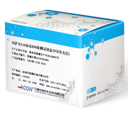 柯萨奇A16病毒RNA检测试剂盒（PCR荧光法）_凯发K8国际生物技术（杭州）有限公司.png
