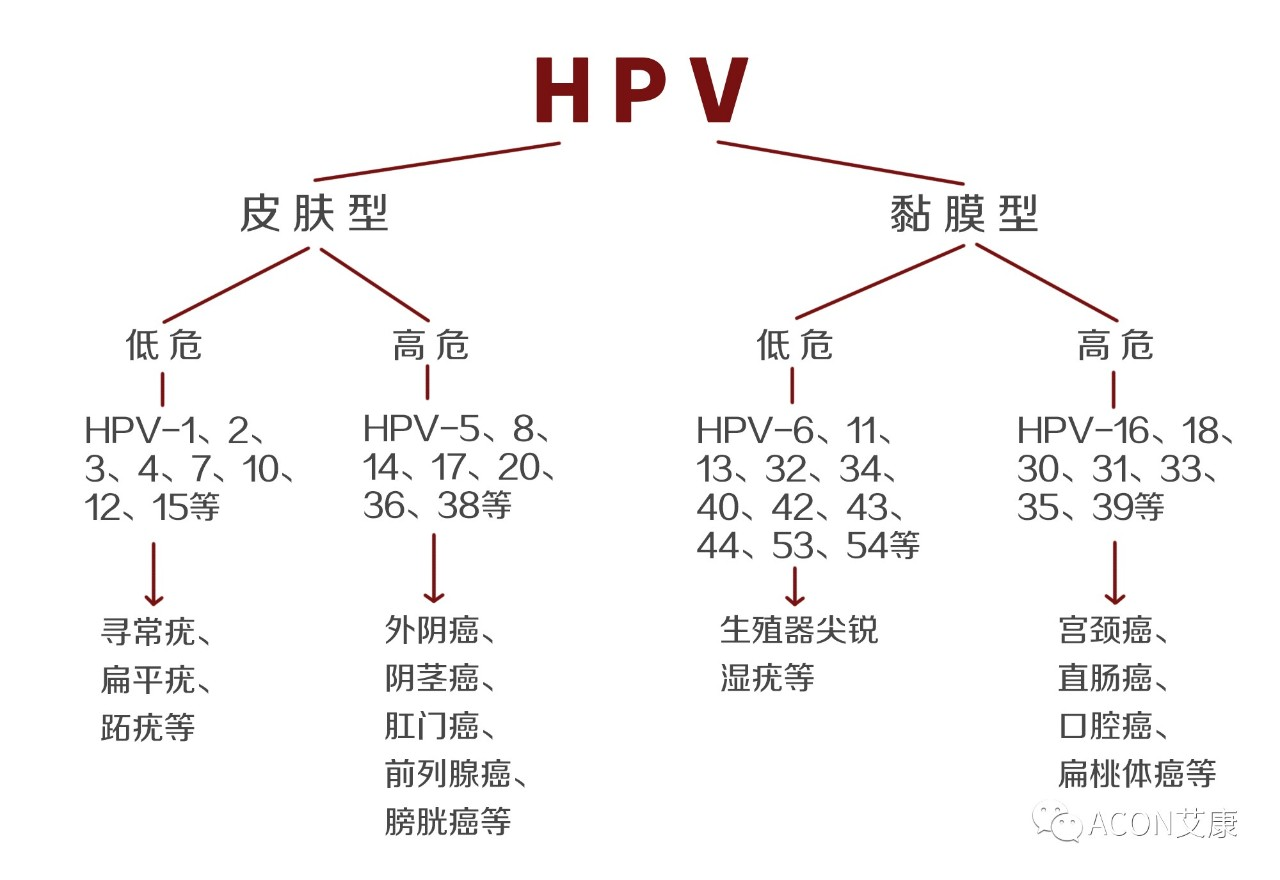 HPV疫苗有必要打吗？二价、四价、九价要如何选择！